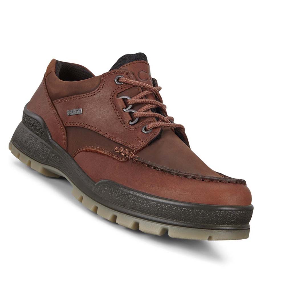 Ecco Track 25 Low Hiking & Trail Herre Burgunder | NO 572DFM